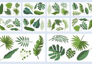 Collection of tropical leaves. Summer logo